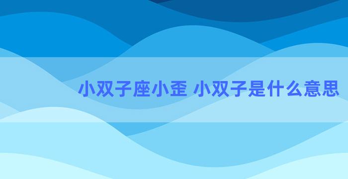 小双子座小歪 小双子是什么意思